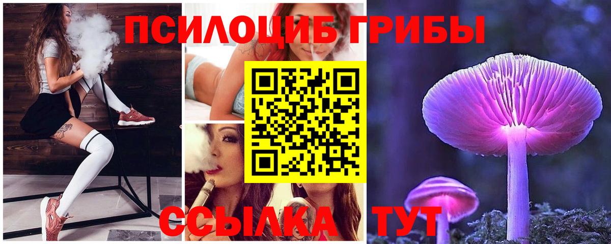 Осинники  Галлюциногенные грибы Psilocybe  Псилоцибиновые грибы GOLDEN TEACHER  Вход с VPN 